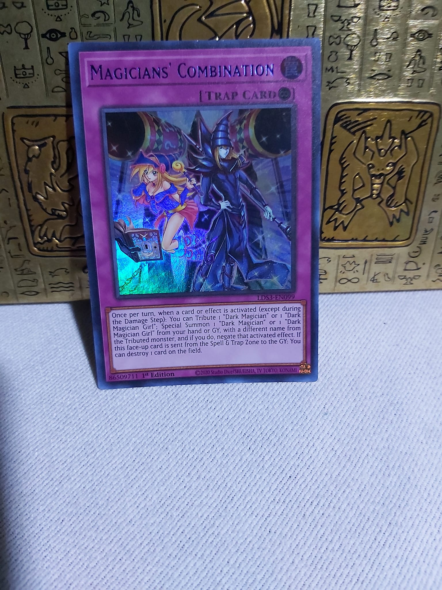 391718036_304937532292229_5341348286245376917_n